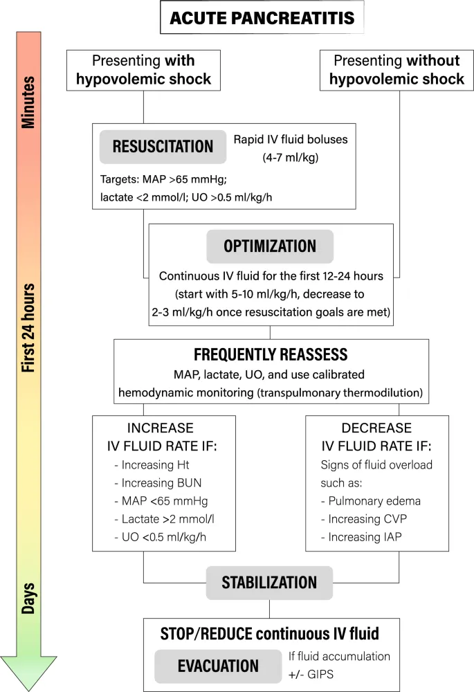 Acute Pancreatitis IV Fluid Management Algorithm