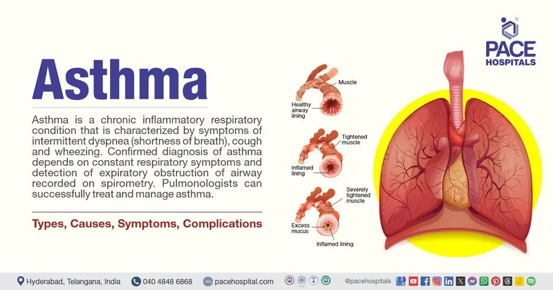 Asthma: Airway Changes and Lung Anatomy