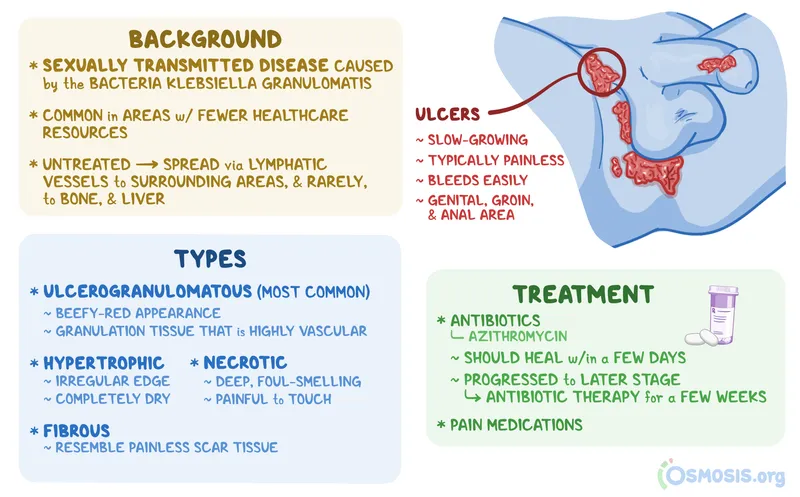 Donovanosis (Granuloma Inguinale) Overview