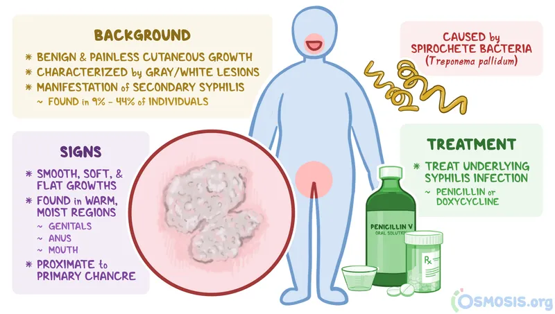 Condyloma Lata: Signs, Background, Cause, Treatment