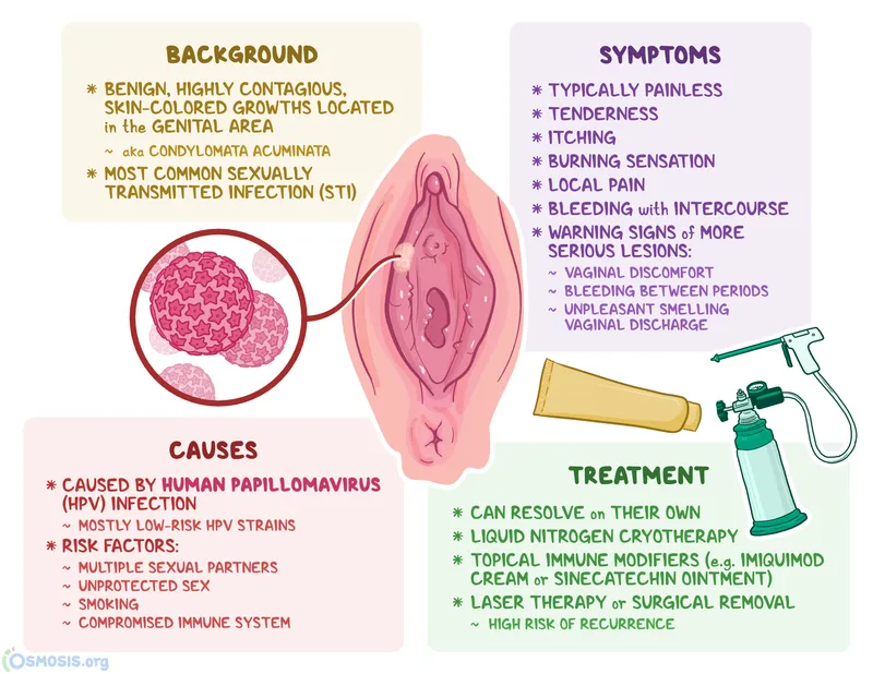 HPV Infections: Background, Symptoms, Causes, Treatment