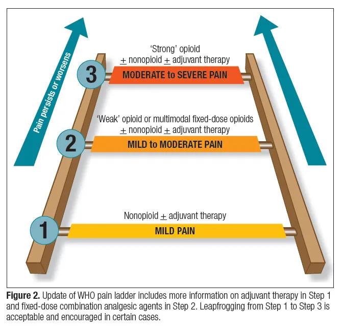 WHO Analgesic Ladder for Acute Pain Management
