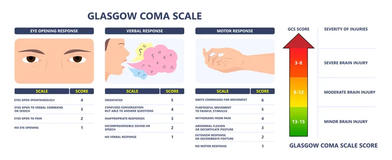 Glasgow Coma Scale (GCS) components and scoring