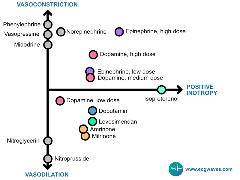 Vasopressor and Inotrope Activity Chart
