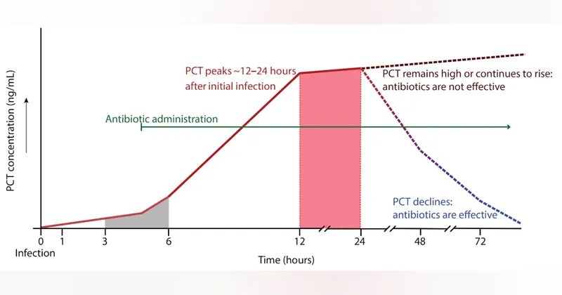Procalcitonin kinetics in bacterial sepsis