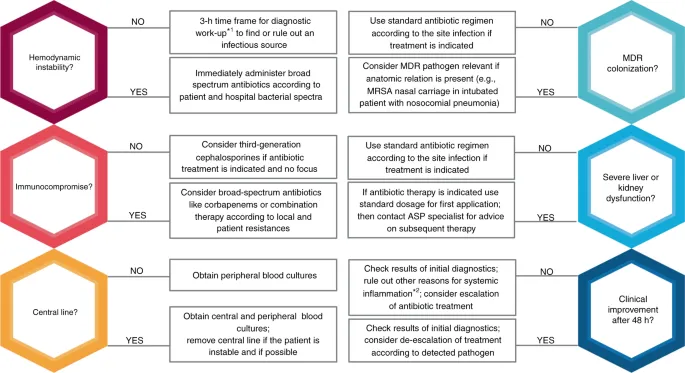 Sepsis Empiric Antimicrobial Therapy Decision Tree