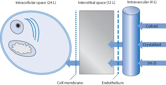 Fluid distribution of colloids, crystalloids, and 5% D