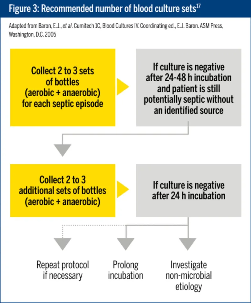 Blood culture collection protocol for sepsis diagnosis
