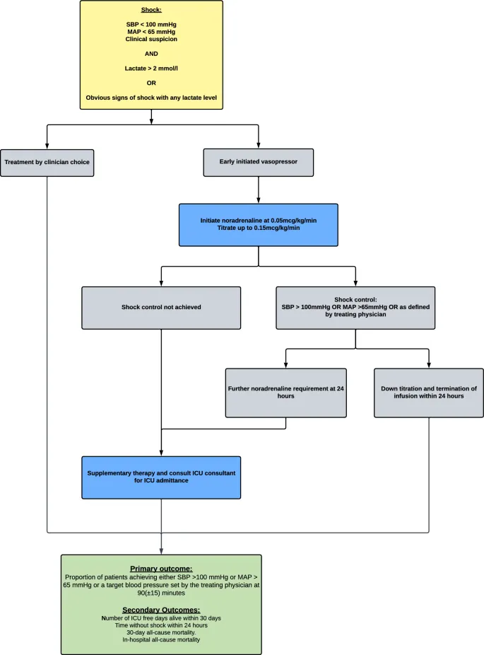 Early Vasopressor Initiation and Titration in Septic Shock