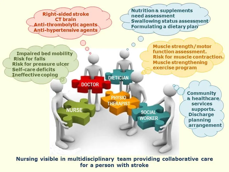 Multidisciplinary Stroke Team Roles and Care Principles