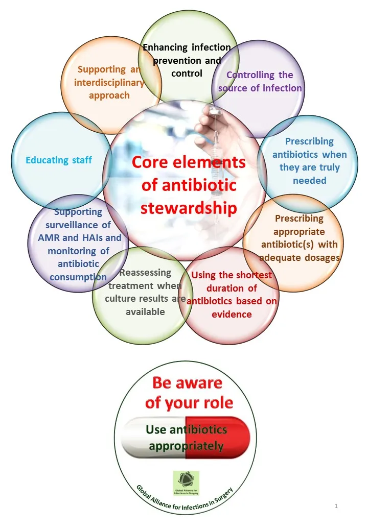 Core elements of antibiotic stewardship diagram