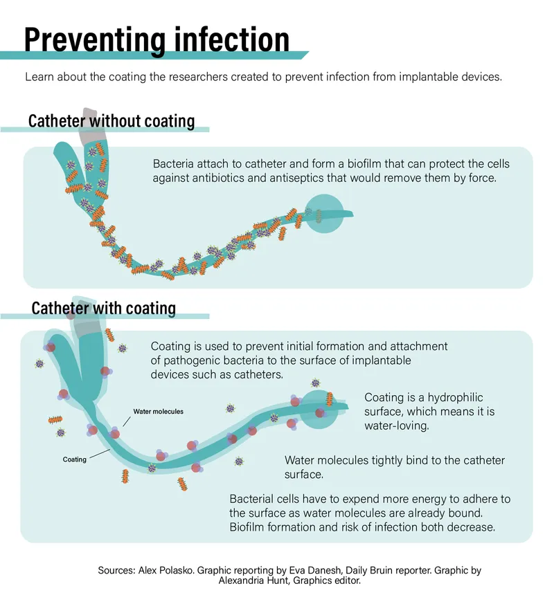 Biofilm prevention on catheters using hydrophilic coating