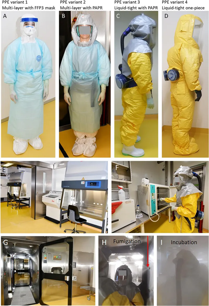BSL-3 lab setup, PPE, fumigation, and incubation