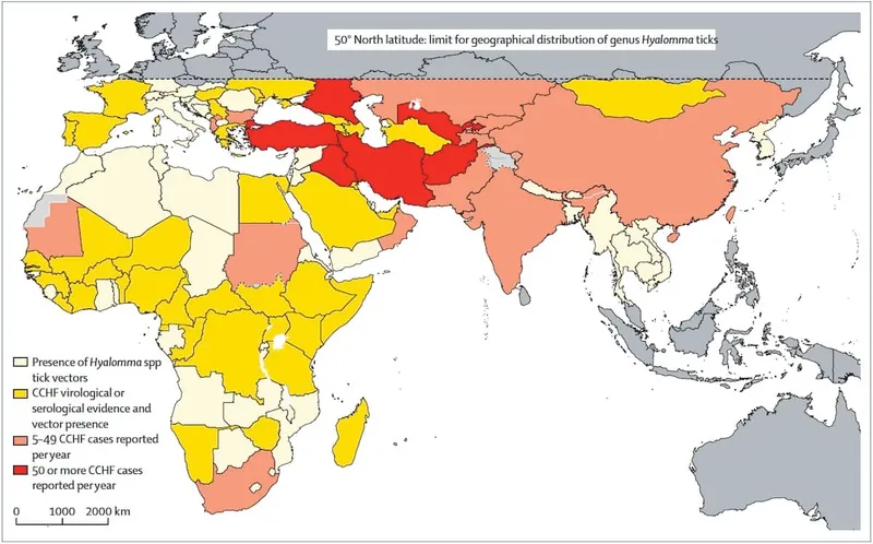 Global distribution of Hyalomma ticks and CCHF