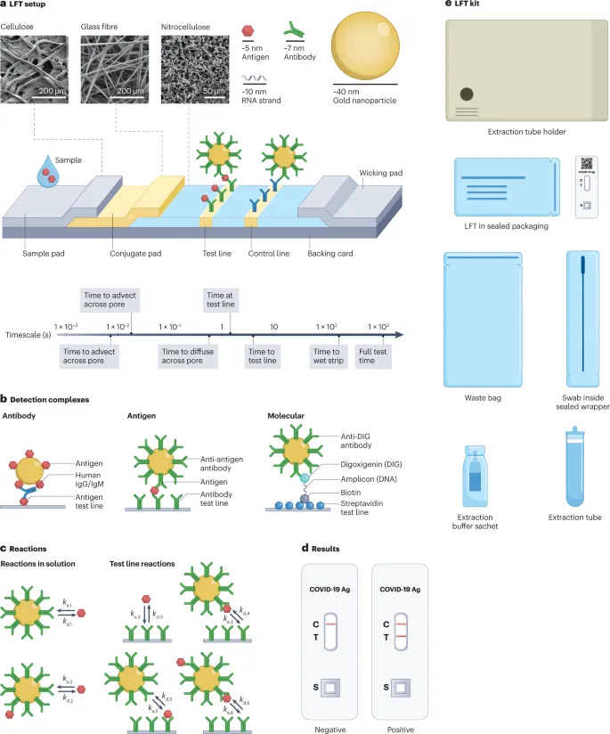 Lateral Flow Test (LFT) Principles and Components