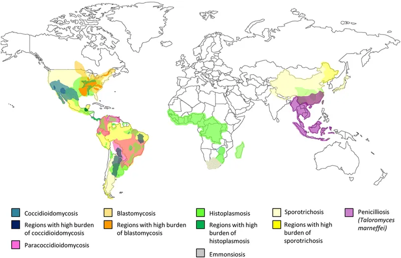 Global endemic areas of dimorphic fungal infections
