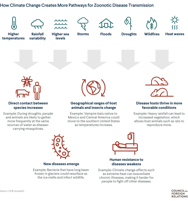 Climate Change and Zoonotic Disease Transmission