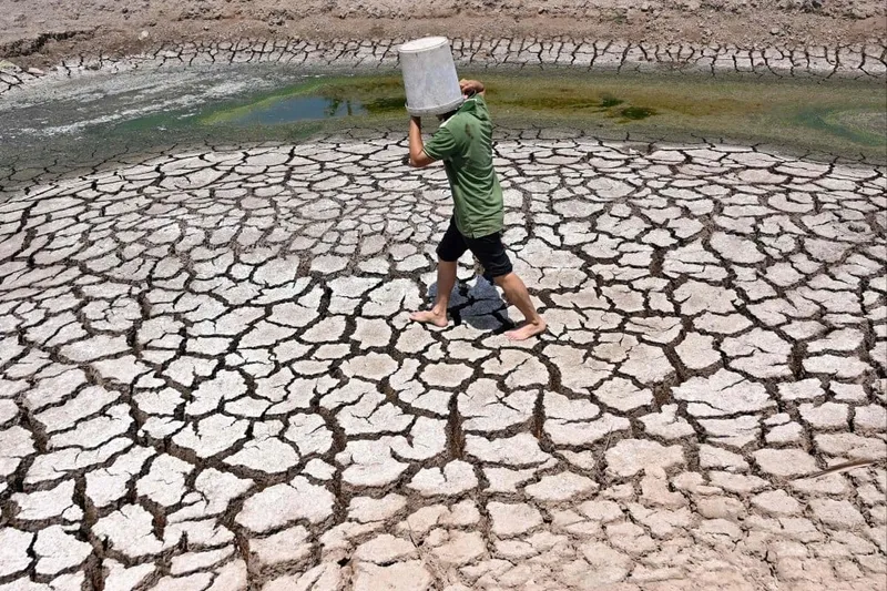 Drought and water scarcity