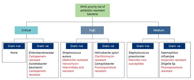 WHO Priority List of Antibiotic-Resistant Bacteria