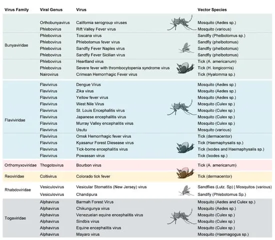 Emerging Viral Infections and Vectors