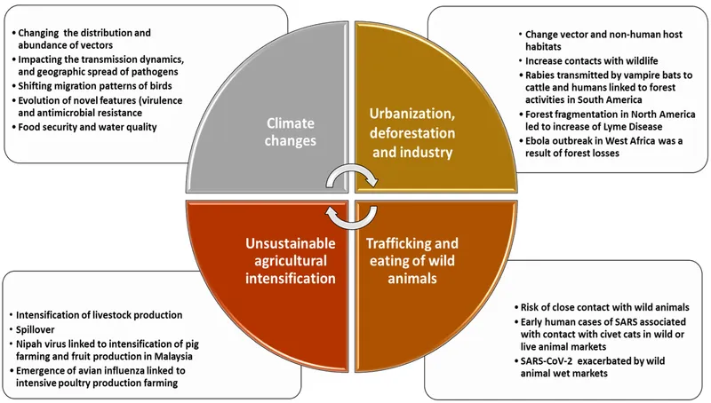 Factors driving emerging infectious diseases