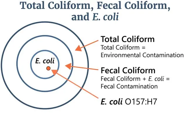 Coliforms and E. coli as water contamination indicators