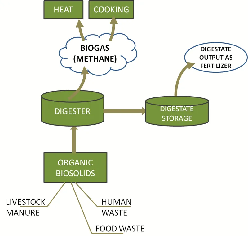 Anaerobic Digester Diagram
