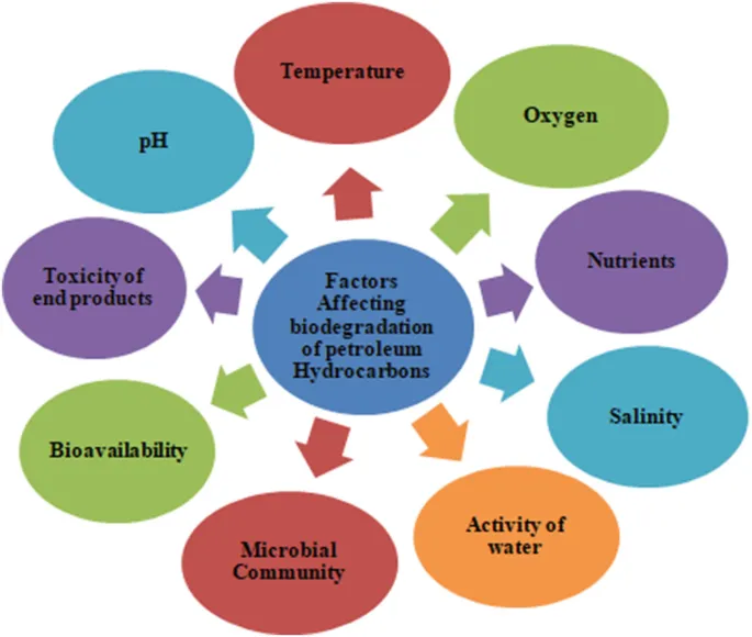 Factors Affecting Biodegradation of Petroleum Hydrocarbons