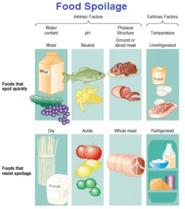 Factors affecting microbial growth in food