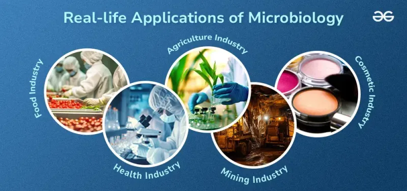 Real-life Applications of Microbiology