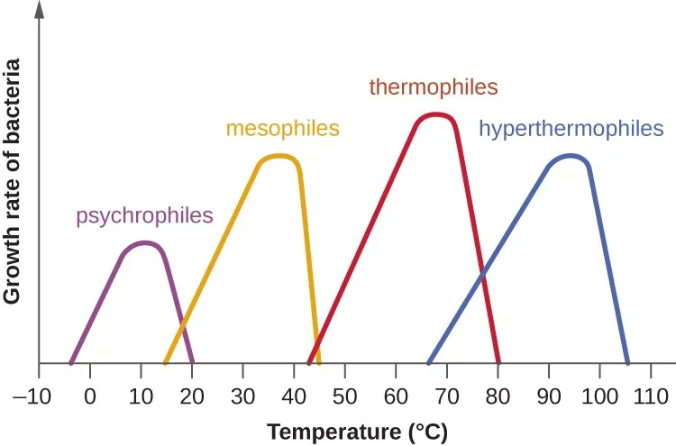 Bacterial growth rate vs. temperature
