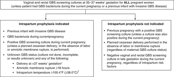 GBS Prophylaxis Algorithm for Pregnant Women