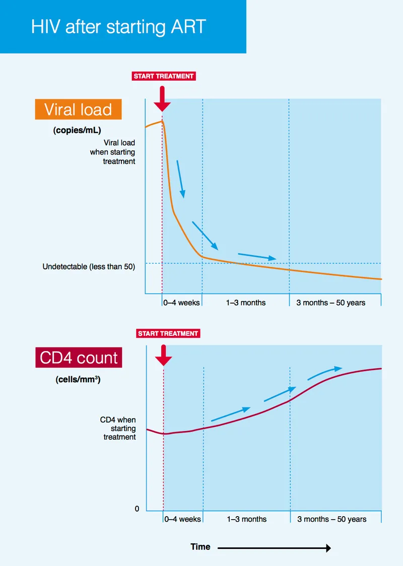 HIV viral load and CD4 count changes after ART