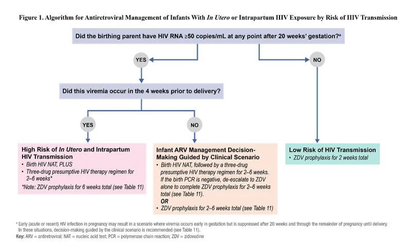 Infant ARV Management for Perinatal HIV