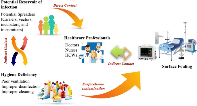 Hospital-acquired infection transmission pathways