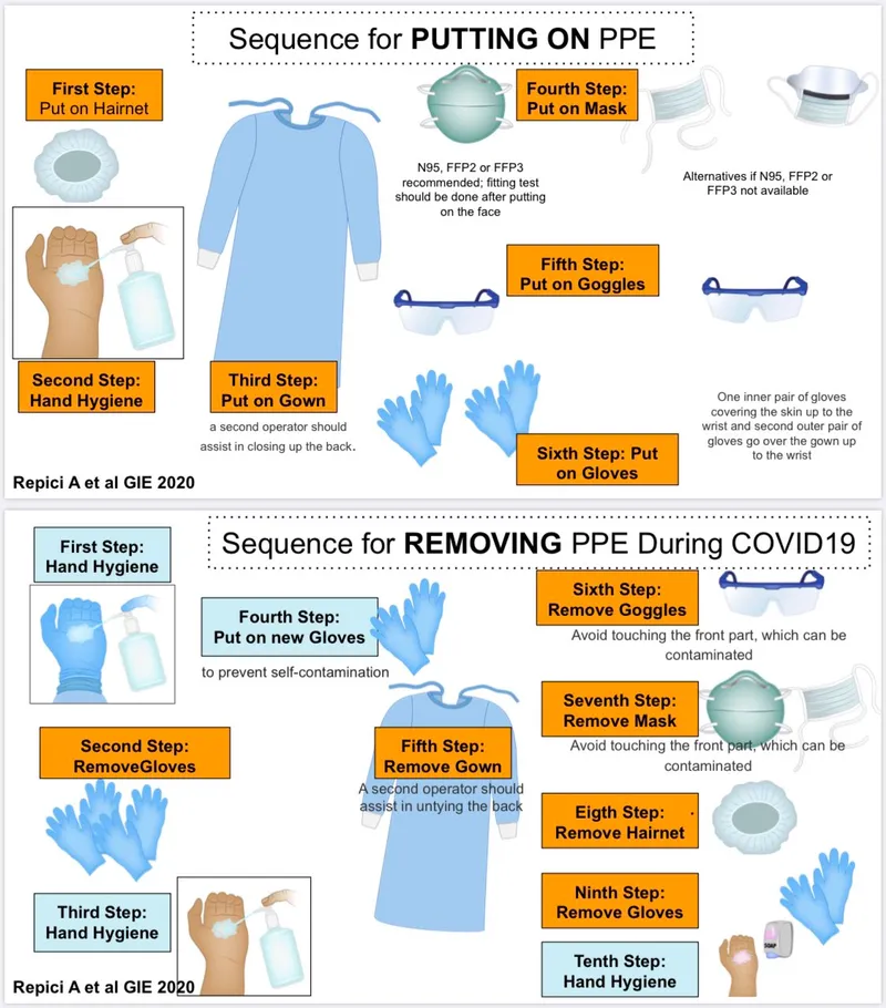 PPE Donning and Doffing Steps