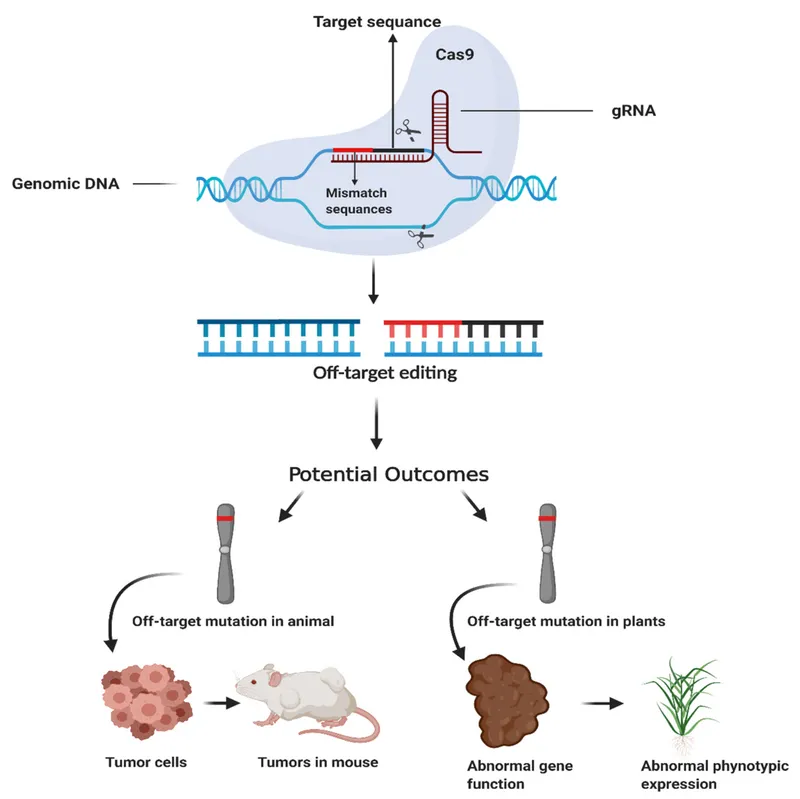 CRISPR-Cas9 off-target editing