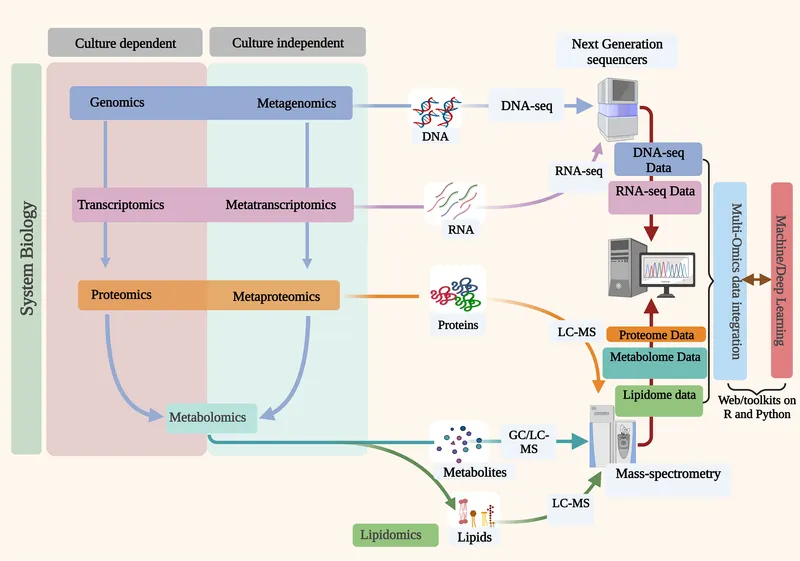 Microbiome multi-omics analysis workflow