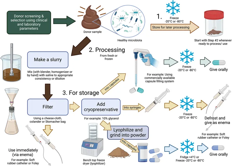 FMT process: screening, preparation, storage, administration