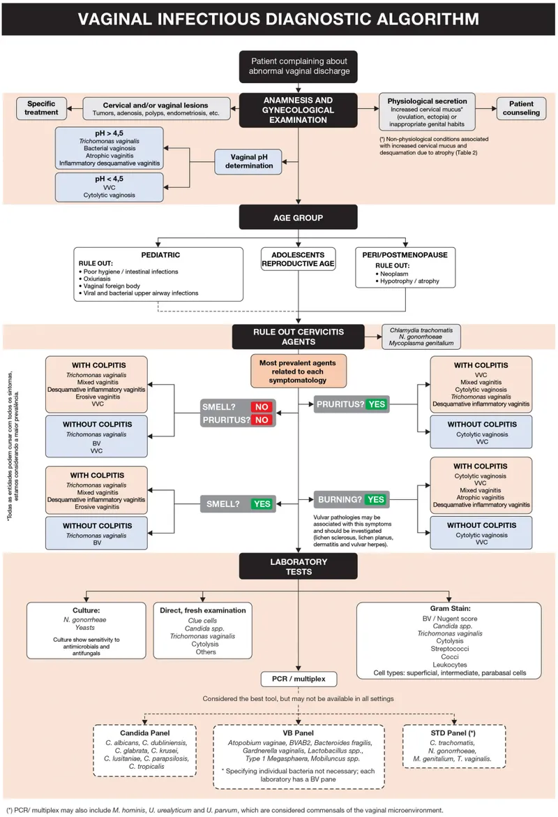 Vaginal Infectious Diagnostic Algorithm