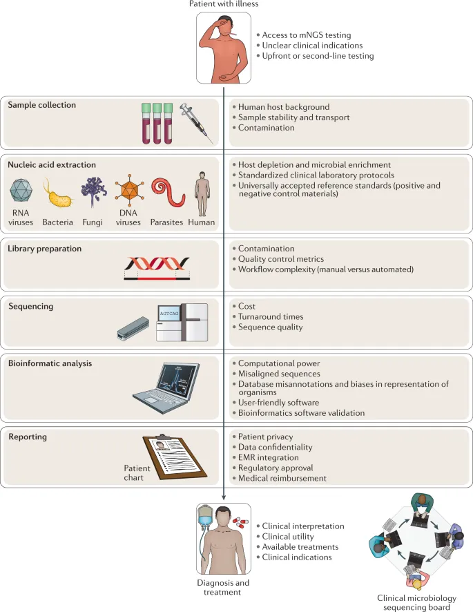 Clinical metagenomic sequencing workflow