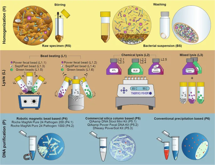Microbial DNA Extraction Methods Overview