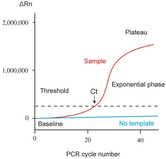 Real-Time PCR amplification curve and Ct value
