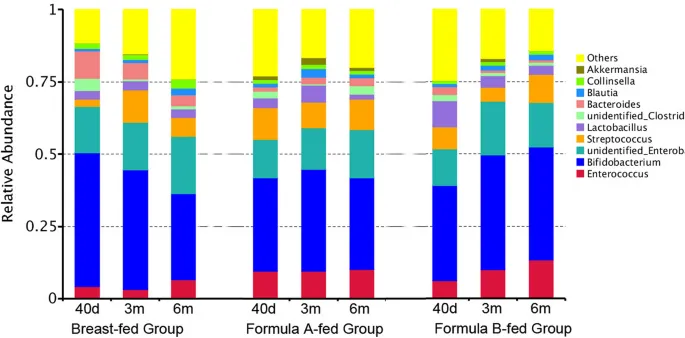 Infant gut microbiome composition by diet and age