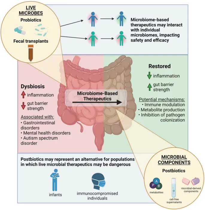 Microbiome-based therapies for dysbiosis and restoration