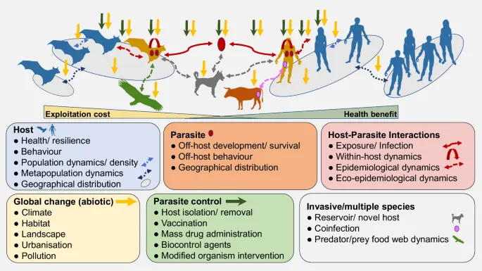 Host-Parasite Interactions and Influencing Factors