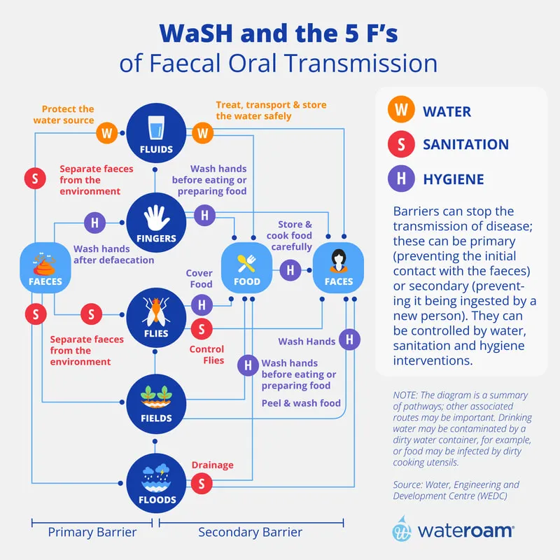 WaSH and 5 Fs of Fecal-Oral Transmission