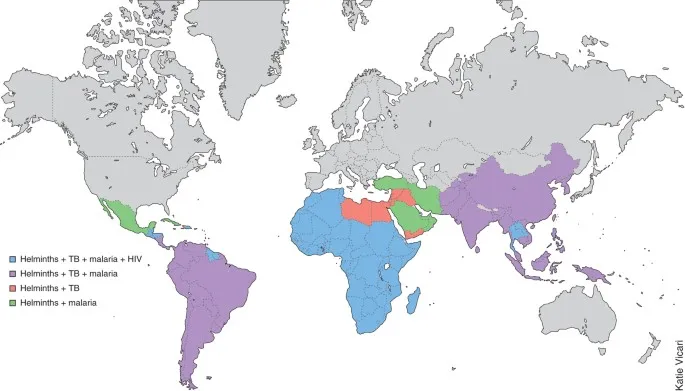 Global distribution of helminths, TB, malaria, and HIV