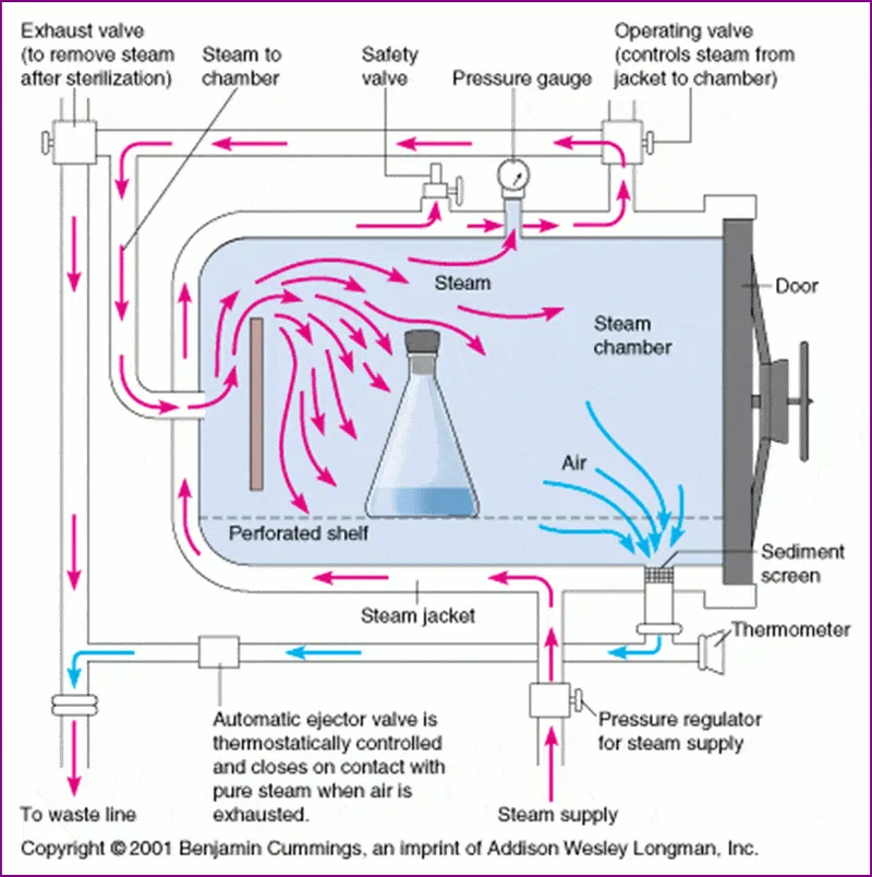 Biological Indicators for Sterilization Methods