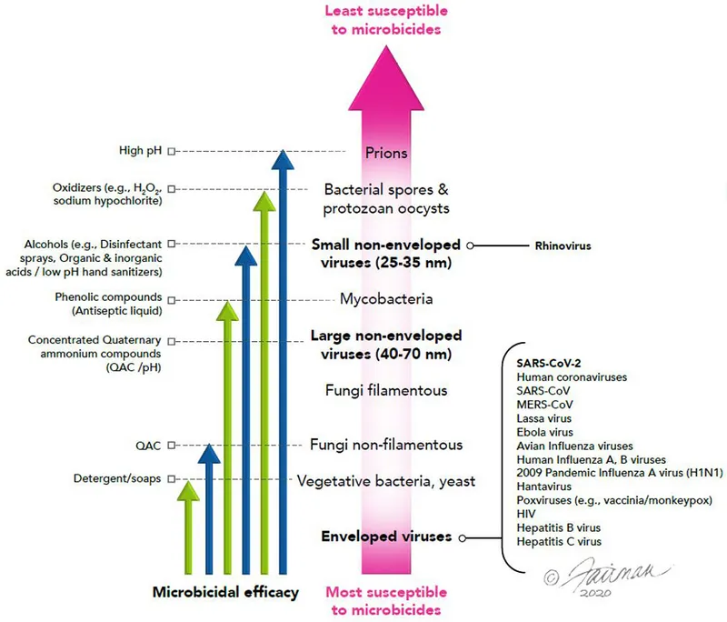 Microbicidal efficacy vs. microorganism susceptibility